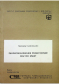 Zagospodarowanie przestrzenne małych miast