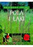 Pola i łąki