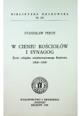 W cieniu Synagogi
