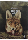 Zamiatając pod wiatr