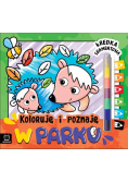 Koloruję i poznaję W parku Kredka segmentowa