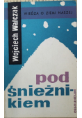 Pod śnieżnikiem