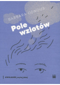 Pole wzlotów