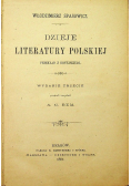 Dzieje literatury Polskiej  1891 r.