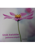 Urok kwiatów jednorocznych