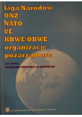 Liga Narodów ONZ NATO UE KBWE/OBWE organizacje pozarządowe