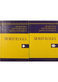 Gramatyka współczesnego języka polskiego Morfologia Tom 1 i 2