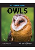 My Favorite Animal