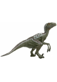 Velociraptor