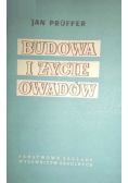 Budowa i życie owadów