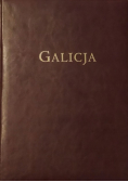 Galicja album widoków