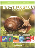 Encyklopedia przyrody Tom 31 bezkręgowce