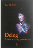 Podróż w krainy pośmiertne