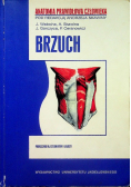 Brzuch