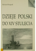 Dzieje Polski do XIV stulecia