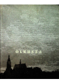 Portretowy album Olkusza