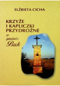 Krzyże i kapliczki przydrożne w gminie Buk