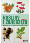 Rośliny I Zwierzęta Część 2