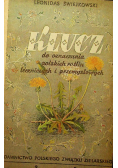 Klucz do oznaczania polskich roślin
