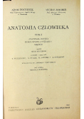 Anatomia człowieka Tom I