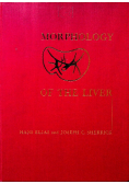 Morphology of the liver