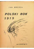 Polski rok 1919
