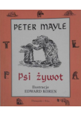 Psi żywot