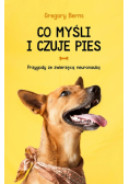 Co myśli i czuje pies