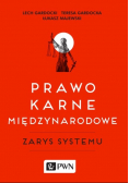 Prawo karne międzynarodowe