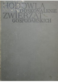 Hodowla i doskonalenie zwierząt gospodarskich