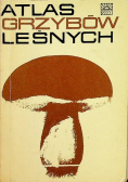 Atlas grzybów leśnych