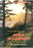 Rolf w lasach