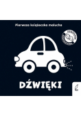 Pierwsza książeczka malucha Dźwięki