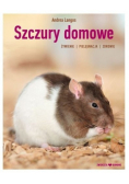 Szczury domowe