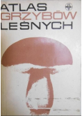 Atlas grzybów leśnych