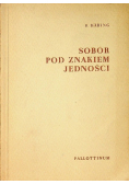 Sobór pod znakiem jedności