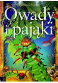 Owady i pająki