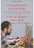 Szczypta iluzji trochę kleju