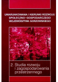 Studia rozwoju i zagospodarowania przestrzennego