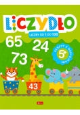 Liczydło. Liczby od 1 do 100