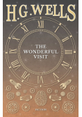 The Wonderful Visit