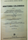 Anatomia człowieka tom V