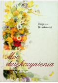Moc dziękczynienia