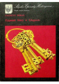 Zygmunt Stary w Głogowie