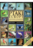 Ptaki Europy przewodnik fotograficzny