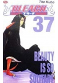 Bleach 37  Beauty is so Solitary