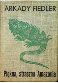 Piękna straszna Amazonia