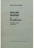 Bataliony Chłopskie na Rzeszowszczyźnie