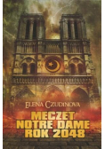 Meczet Notre Dame. Rok 2048