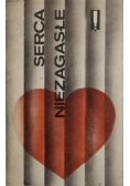 Serce niezagasłe